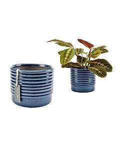 Burgon and Ball Oslo Indoor Plant Pot - Blue